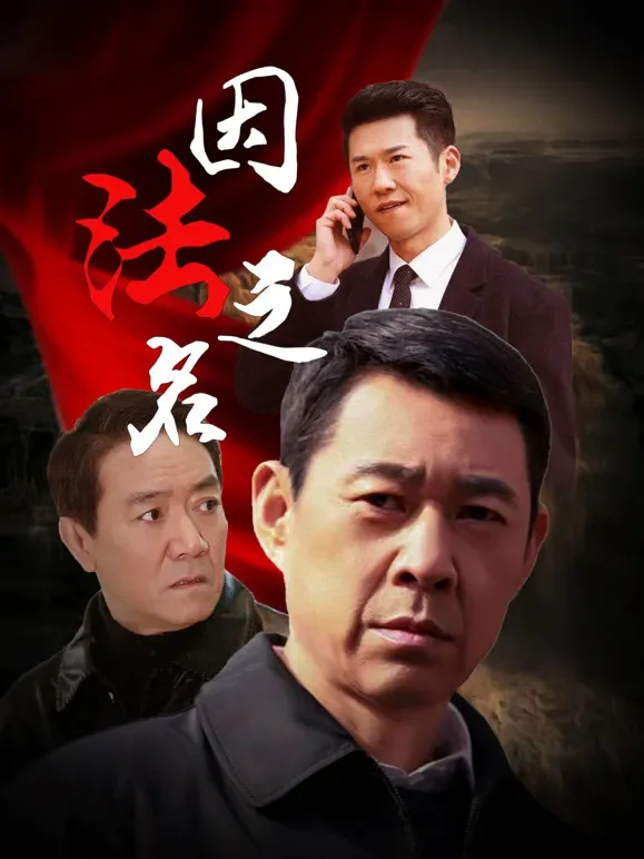 因法之名电视剧海报