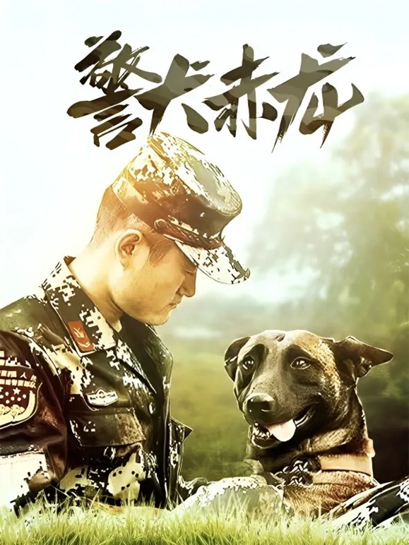 警犬赤龙电视剧海报