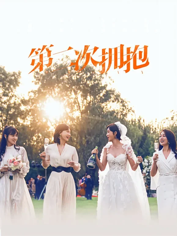 第二次拥抱电视剧海报