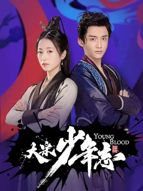 大宋少年志TV版电视剧海报