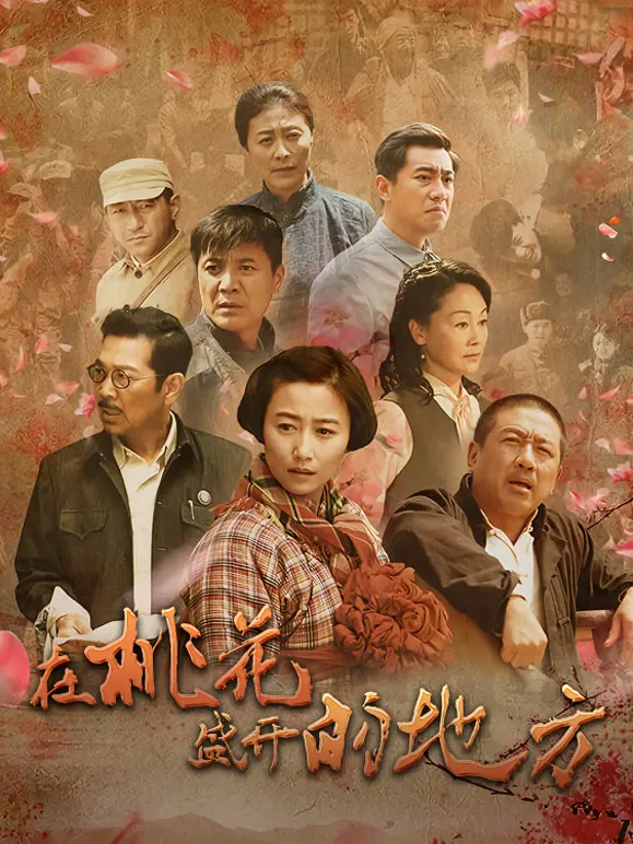 在桃花盛开的地方电视剧海报