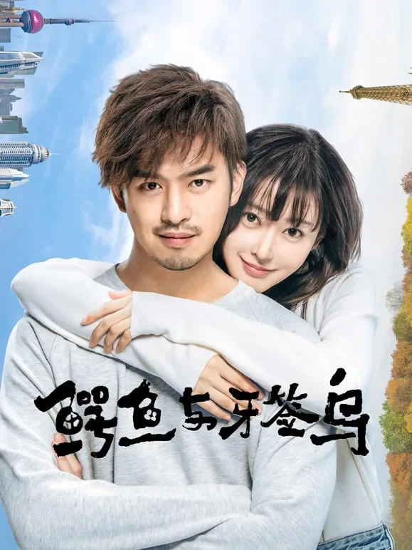 鳄鱼与牙签鸟TV版电视剧海报