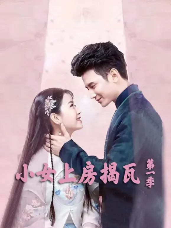 小女上房揭瓦第一季电视剧海报