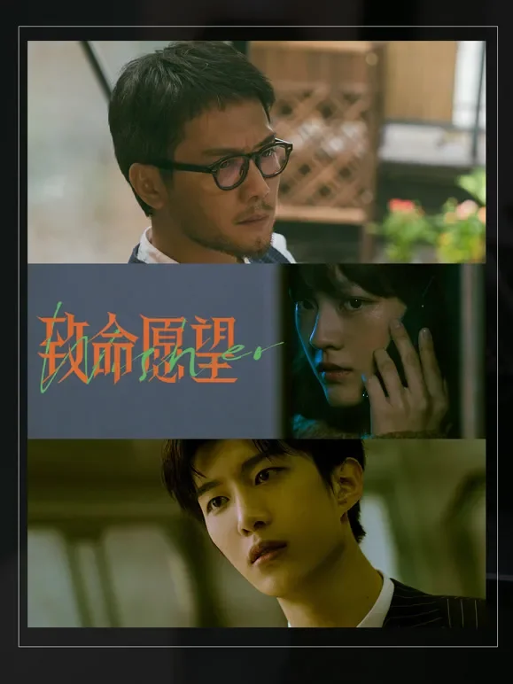 致命愿望电视剧海报