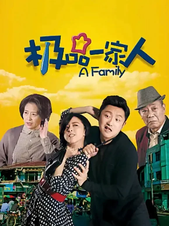 极品一家人电视剧海报