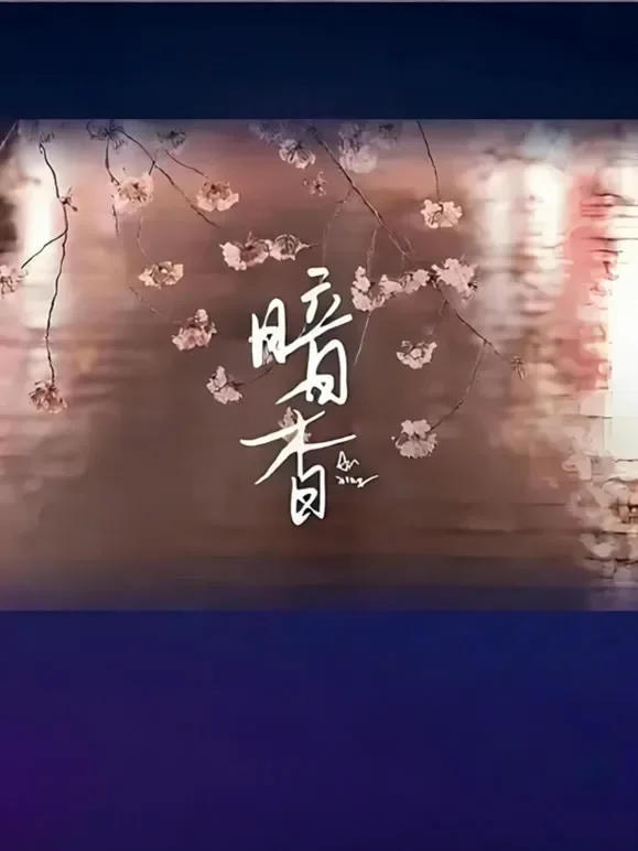 暗香电视剧海报