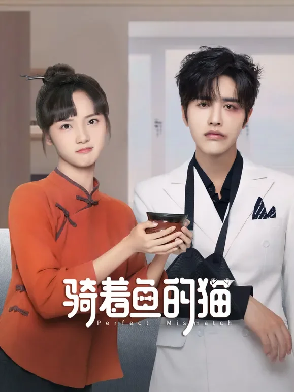 骑着鱼的猫电视剧海报