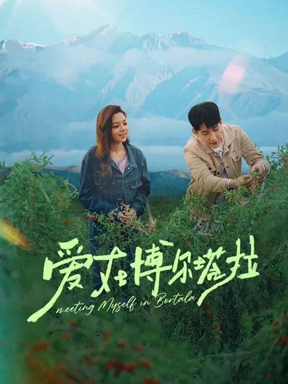 爱在博尔塔拉电视剧海报