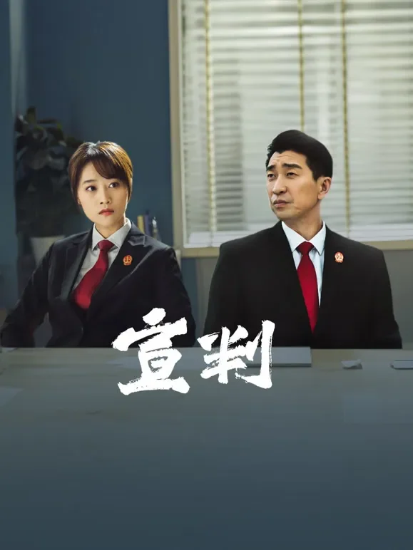 宣判电视剧海报