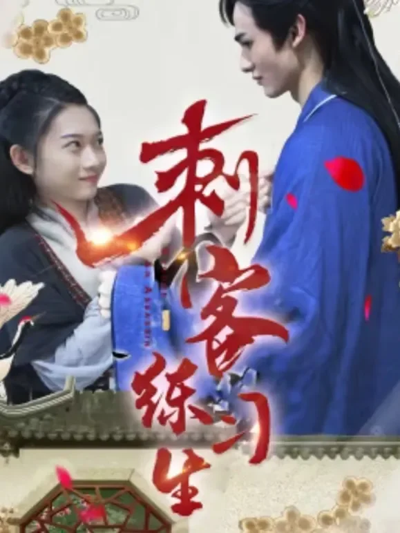 刺客练习生电视剧海报
