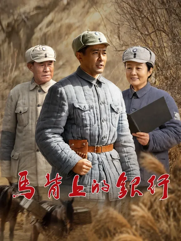 马背上的银行电视剧海报