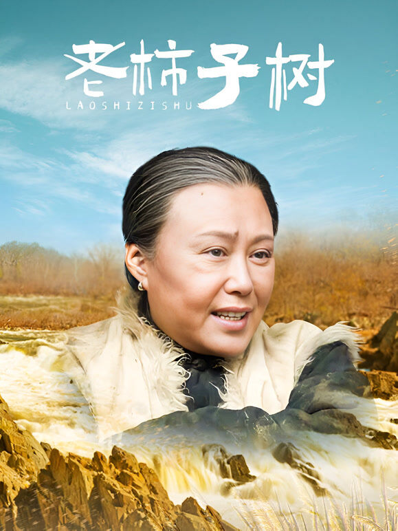老柿子树