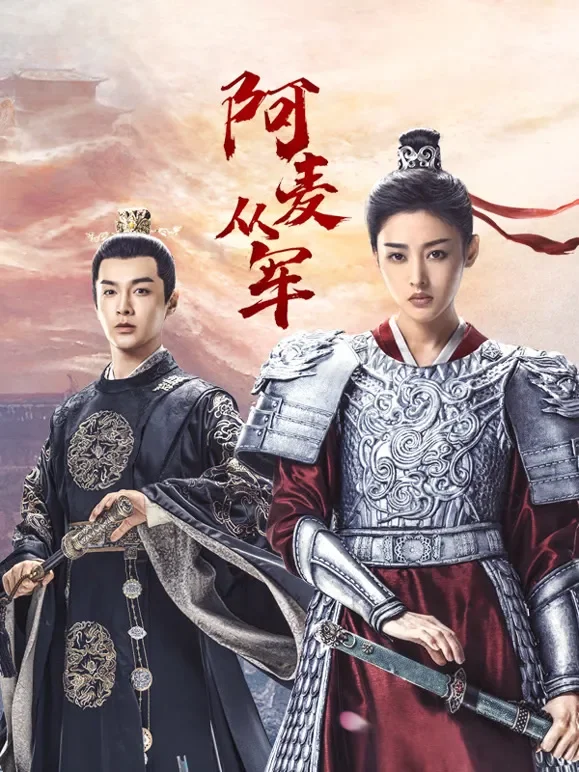阿麦从军电视剧海报