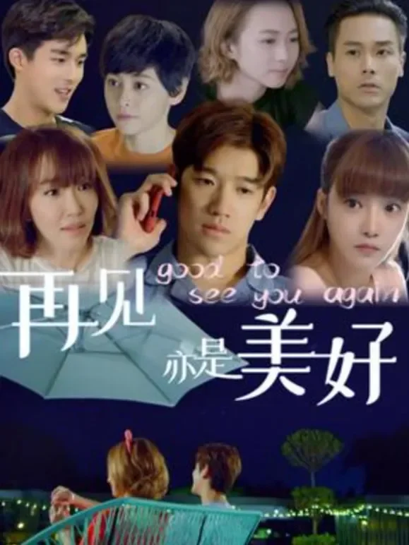 再见亦是美好电视剧海报
