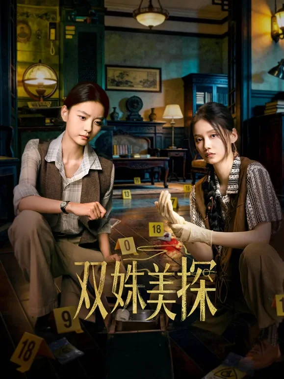 双姝美探电视剧海报