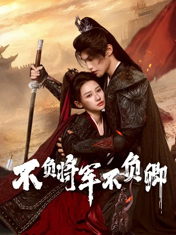 不负将军不负卿电视剧海报