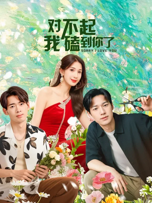 对不起，我磕到你了电视剧海报