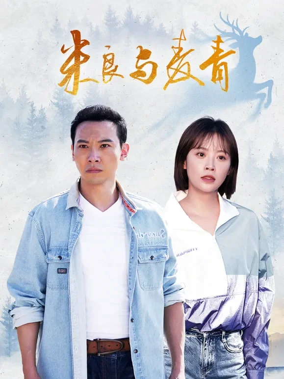 米良与麦青电视剧海报