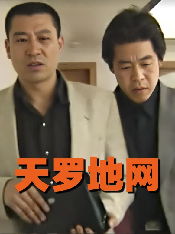 天罗地网电视剧海报