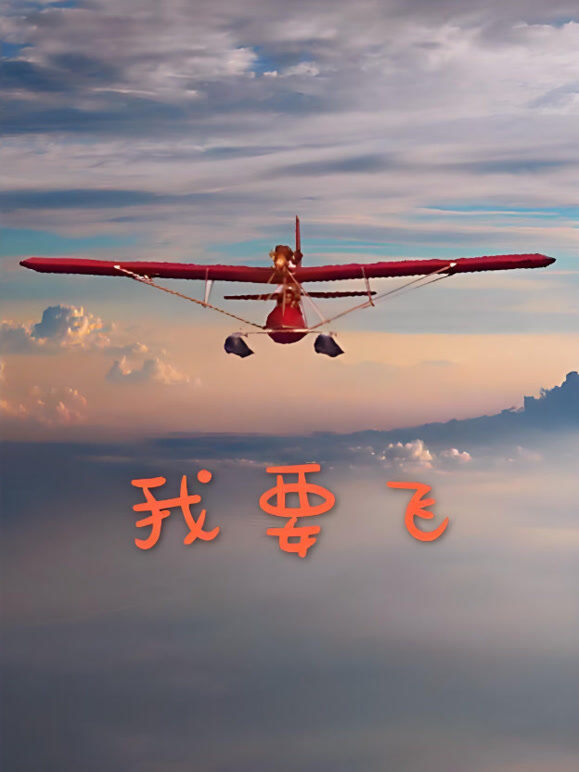 飞向蓝天