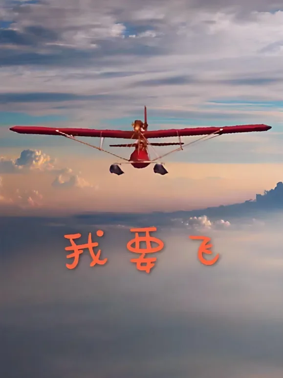 飞向蓝天电视剧海报