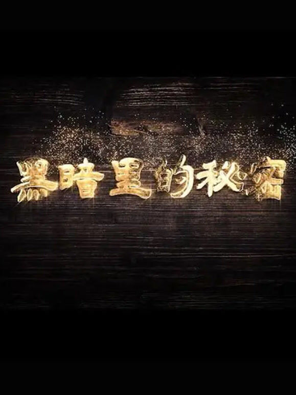 黑暗里的秘密