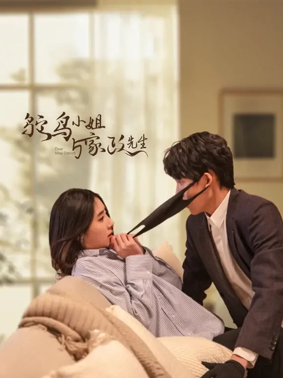 鸵鸟小姐与家政先生电视剧海报