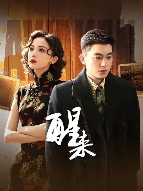 醒来电视剧海报