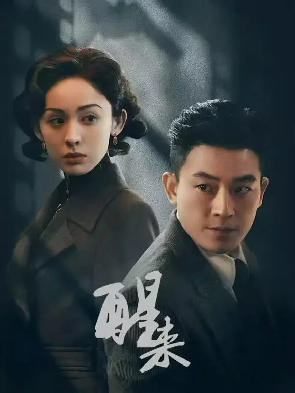 醒来电视剧海报