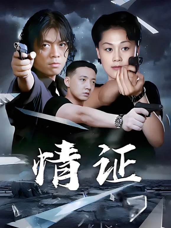 情证电视剧海报