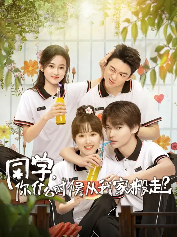 同学，你什么时候从我家搬走？电视剧海报