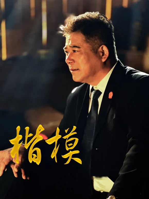 楷模电视剧海报