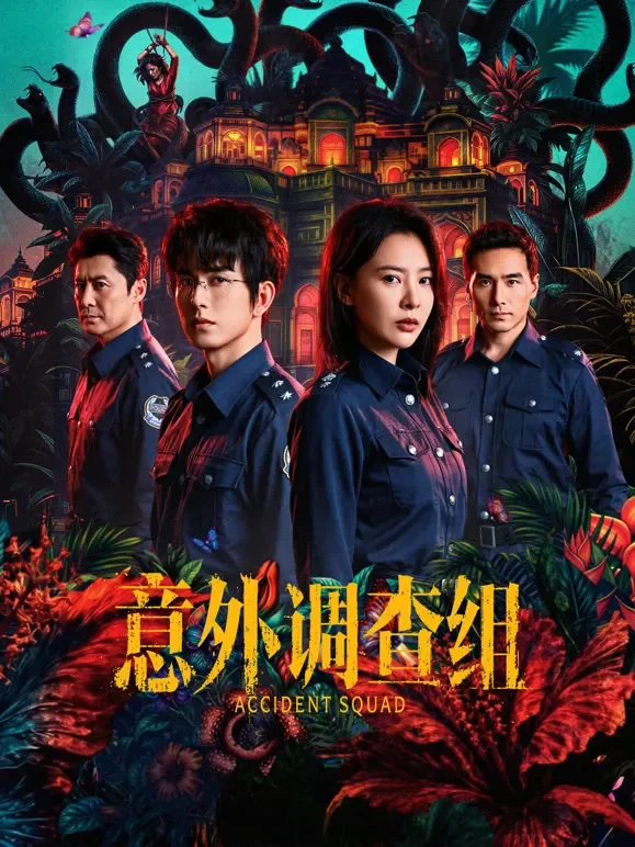 意外调查组电视剧海报