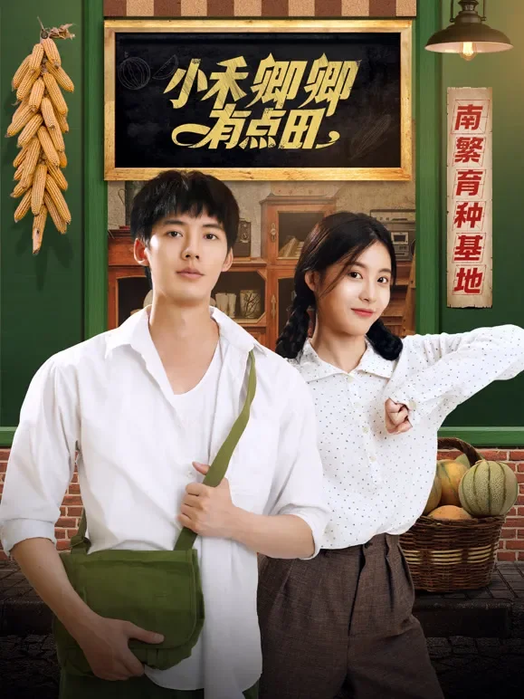 小禾卿卿有点田电视剧海报