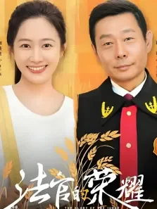 法官的荣耀电视剧海报