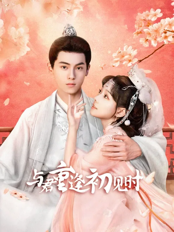 与君重逢初见时电视剧海报