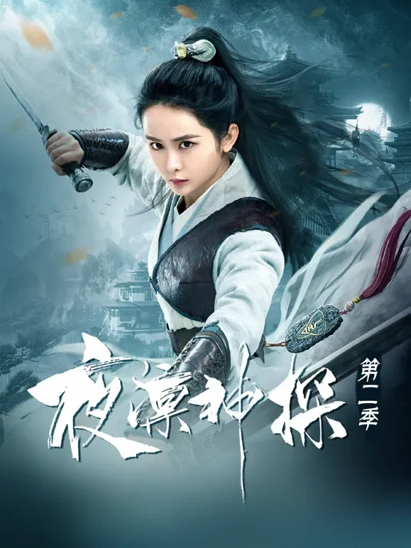 夜凛神探第二季电视剧海报