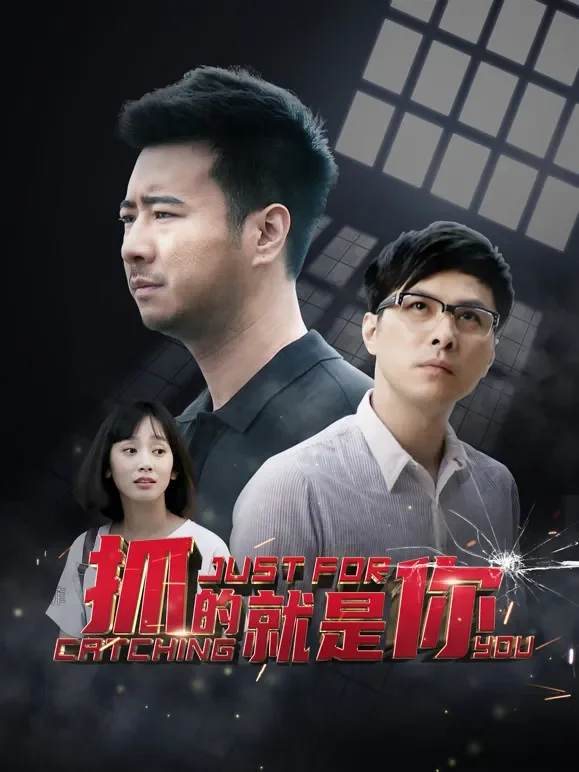 抓的就是你电视剧海报