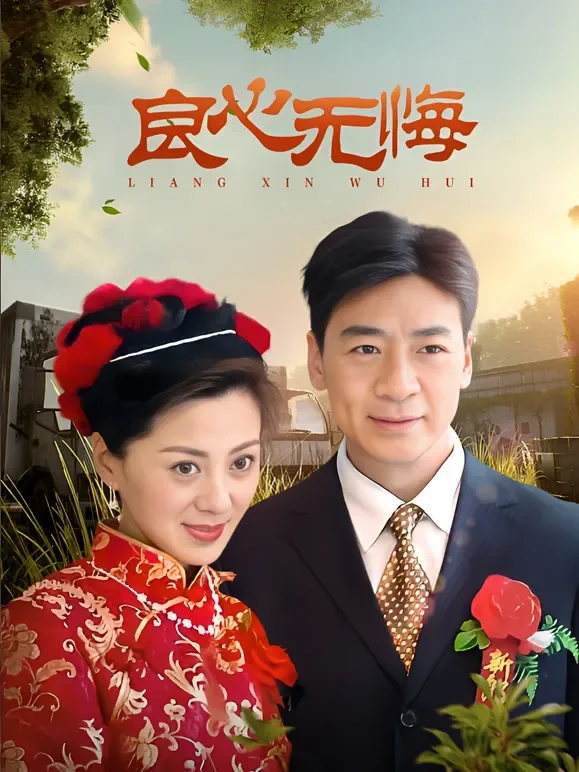良心无悔电视剧海报