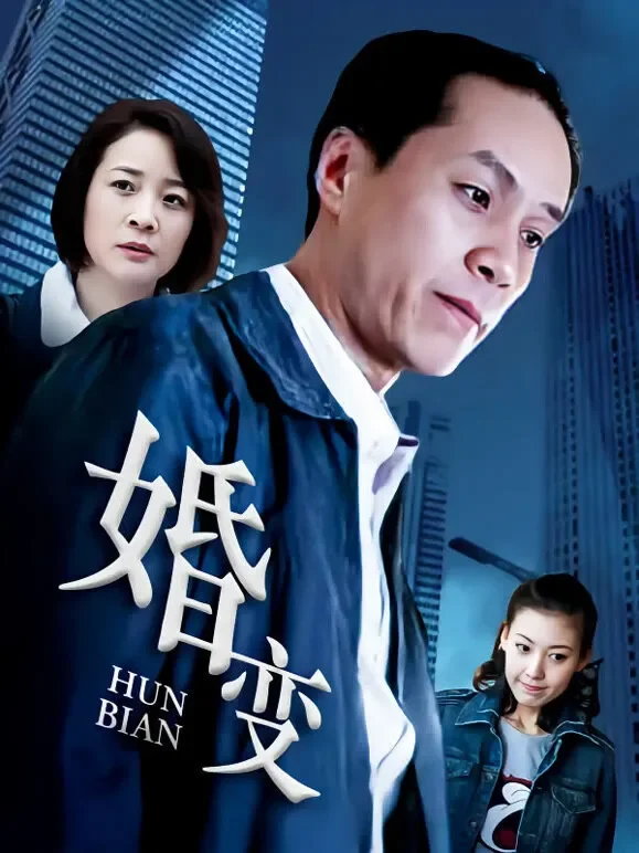 婚变电视剧海报