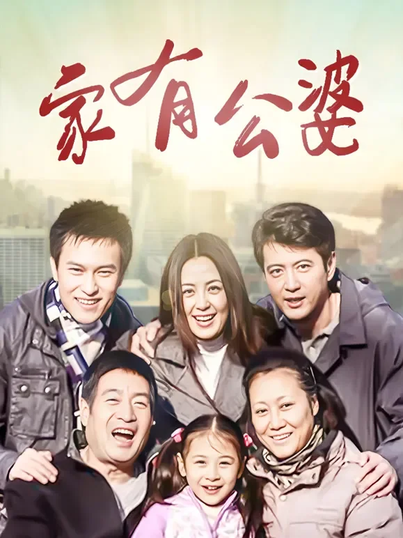 家有公婆电视剧海报