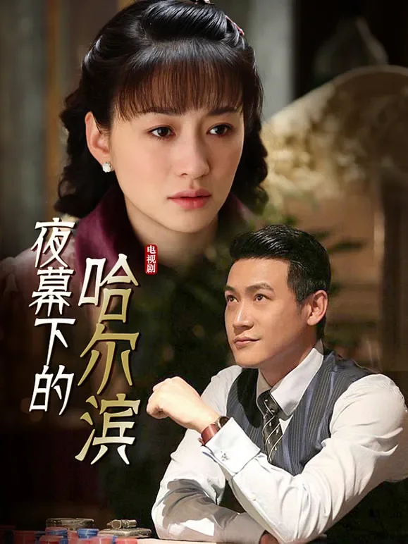 夜幕下的哈尔滨电视剧海报