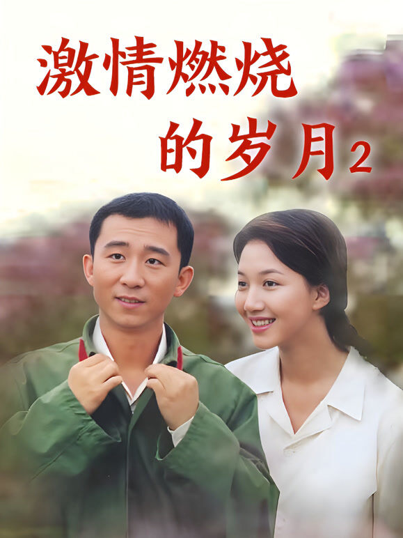 激情燃烧的岁月2