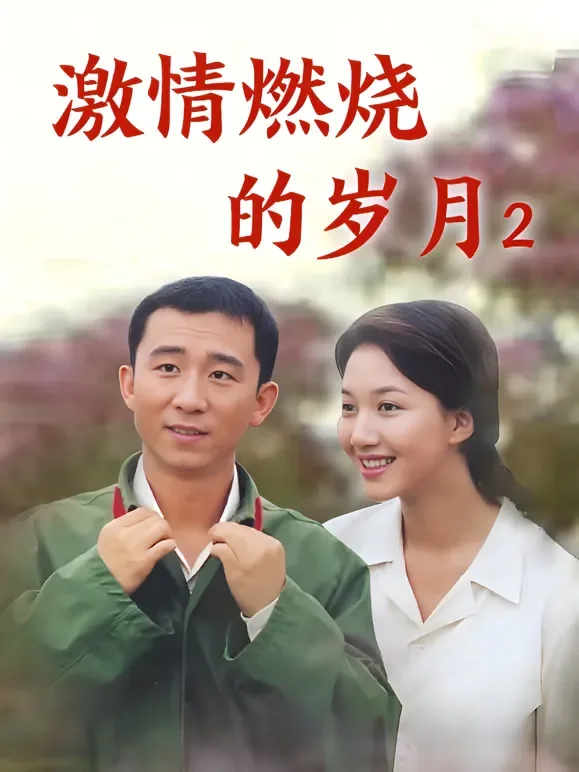 激情燃烧的岁月2电视剧海报