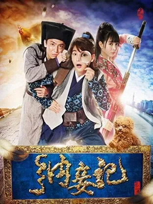 纳妾记电视剧海报
