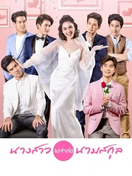 小姐芳名上电视剧海报