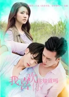 我喜欢你，你知道吗电视剧海报
