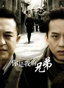 你是我的兄弟电视剧海报
