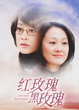 红玫瑰黑玫瑰电视剧海报