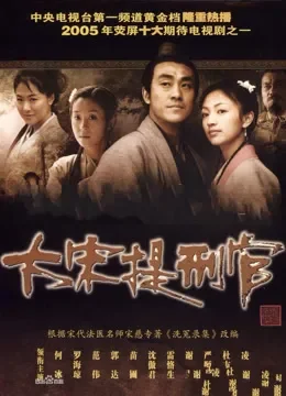大宋提刑官电视剧海报